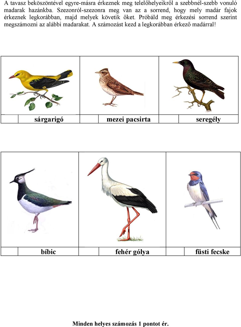 őket. Próbáld meg érkezési sorrend szerint megszámozni az alábbi madarakat.