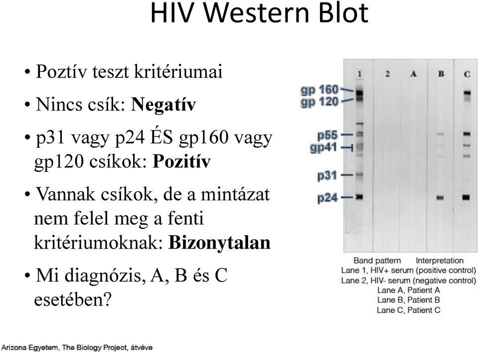 Pozitív Vannak csíkok, de a mintázat nem felel meg a