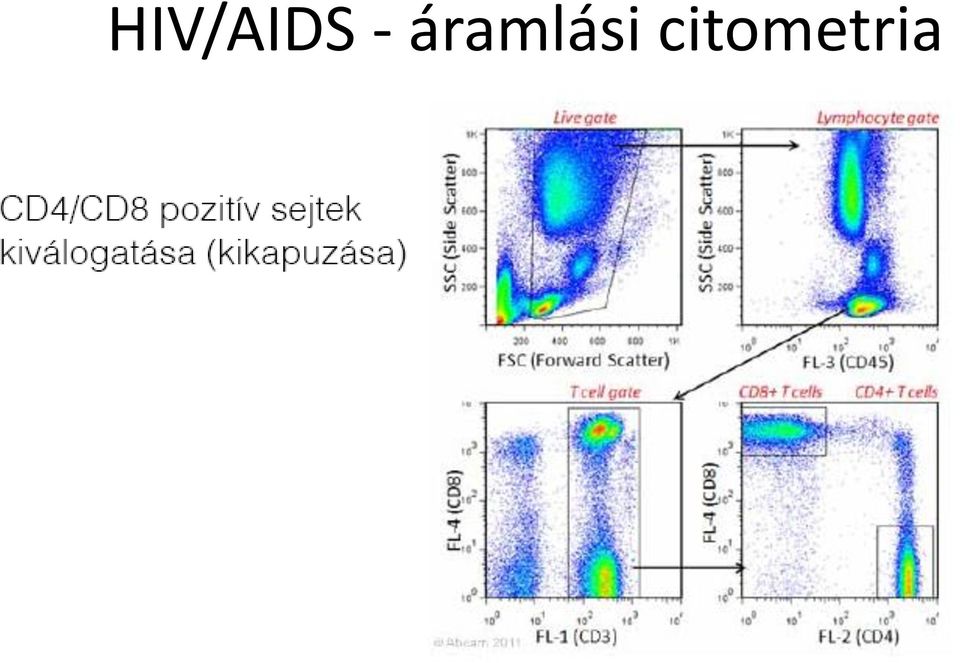 áramlási