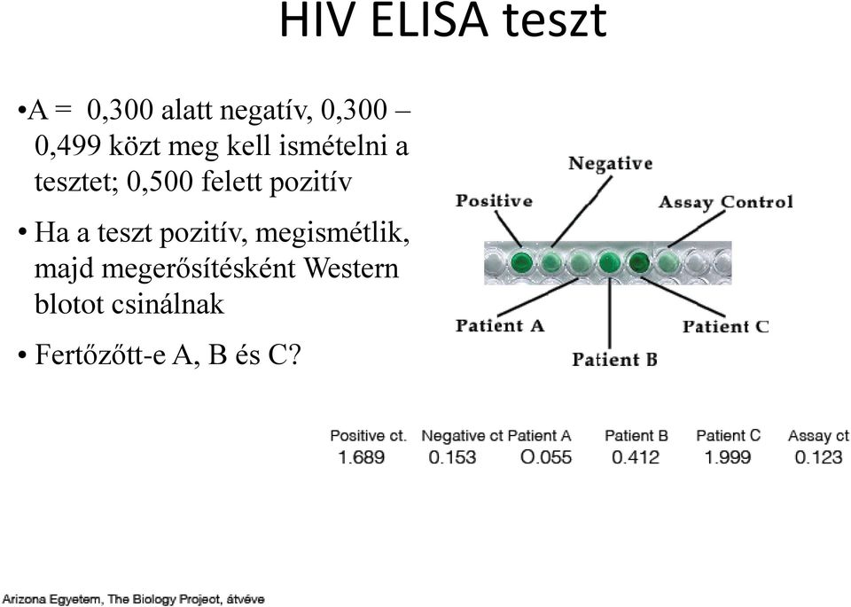 pozitív Ha a teszt pozitív, megismétlik, majd