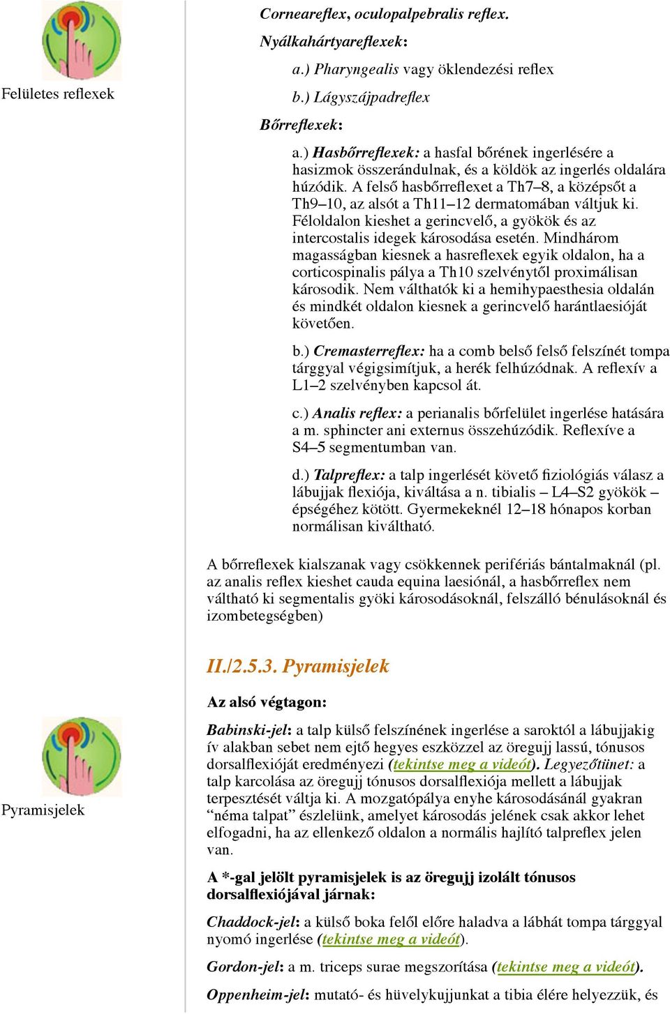 A felső hasbőrreflexet a Th7 8, a középsőt a Th9 10, az alsót a Th11 12 dermatomában váltjuk ki. Féloldalon kieshet a gerincvelő, a gyökök és az intercostalis idegek károsodása esetén.