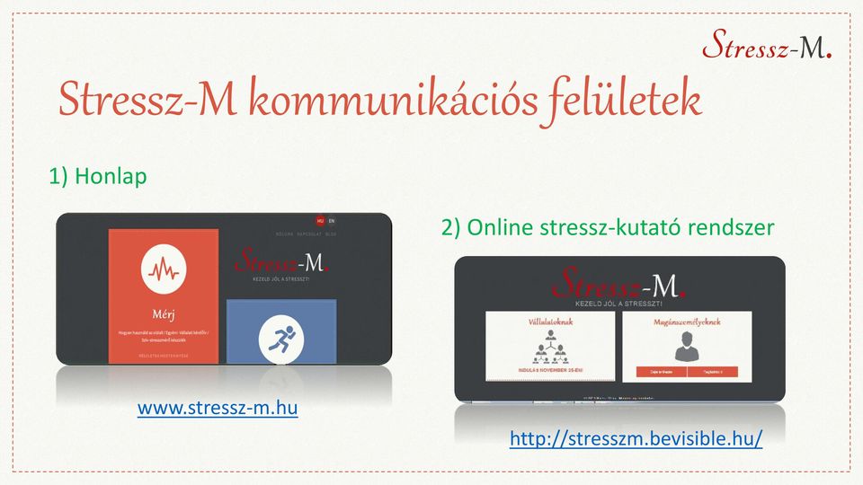 stressz-kutató rendszer www.