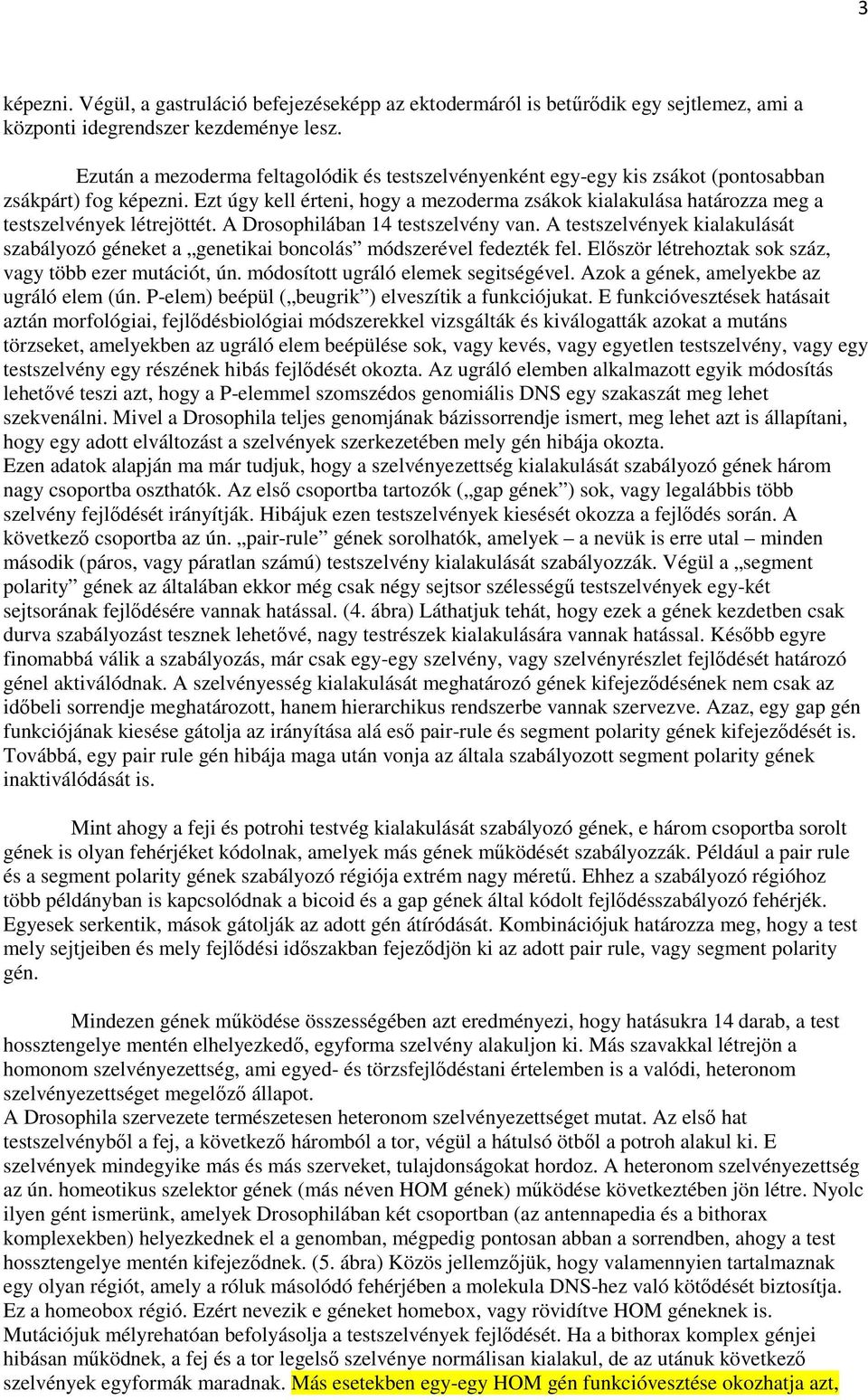 Ezt úgy kell érteni, hogy a mezoderma zsákok kialakulása határozza meg a testszelvények létrejöttét. A Drosophilában 14 testszelvény van.