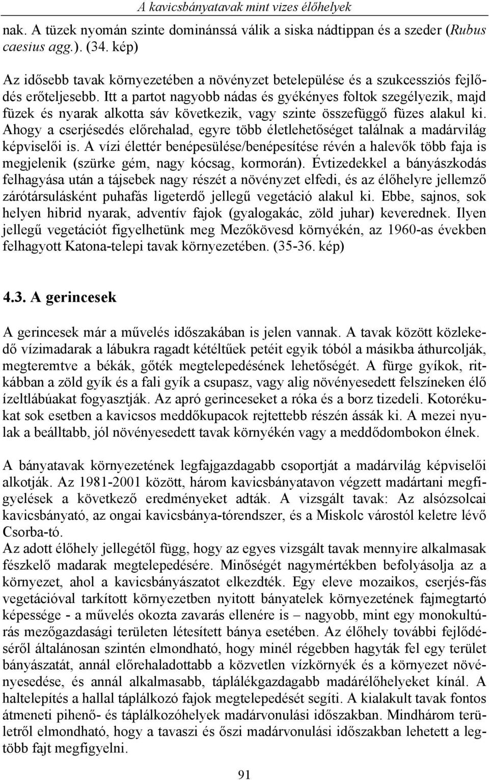 Itt a partot nagyobb nádas és gyékényes foltok szegélyezik, majd füzek és nyarak alkotta sáv következik, vagy szinte összefüggő füzes alakul ki.