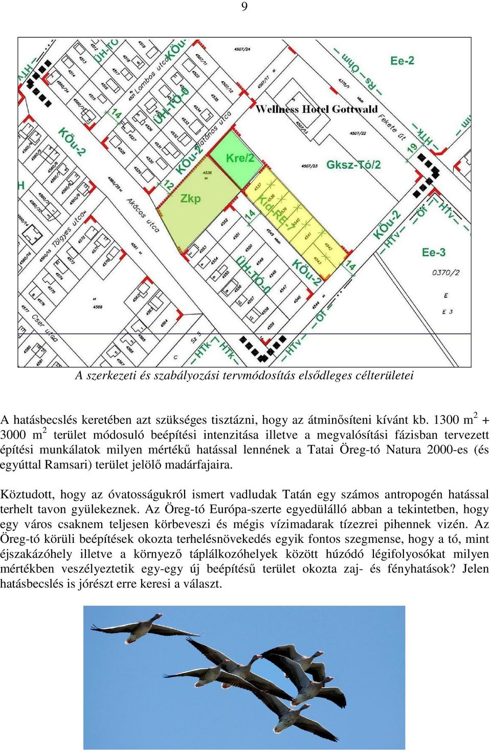 Ramsari) terület jelölő madárfajaira. Köztudott, hogy az óvatosságukról ismert vadludak Tatán egy számos antropogén hatással terhelt tavon gyülekeznek.