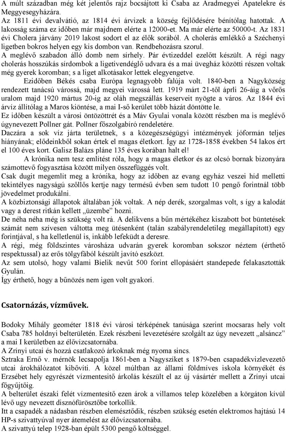 A cholerás emlékkő a Széchenyi ligetben bokros helyen egy kis dombon van. Rendbehozásra szorul. A meglévő szabadon álló domb nem sírhely. Pár évtizeddel ezelőtt készült.