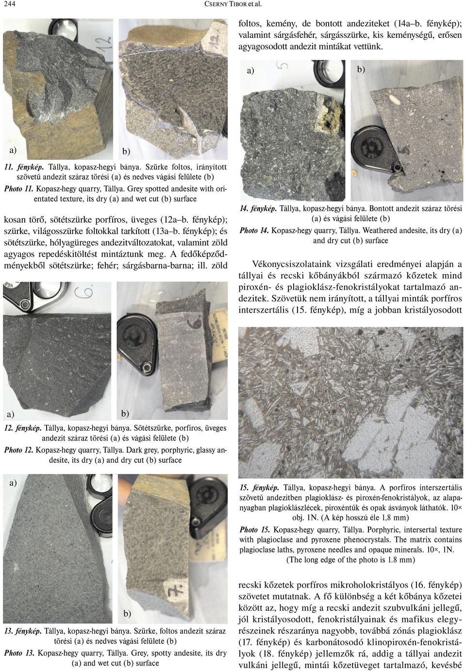 Grey spotted andesite with orientated texture, its dry (a) and wet cut (b) surface kosan törő, sötétszürke porfíros, üveges (12a b. fénykép); szürke, világosszürke foltokkal tarkított (13a b.