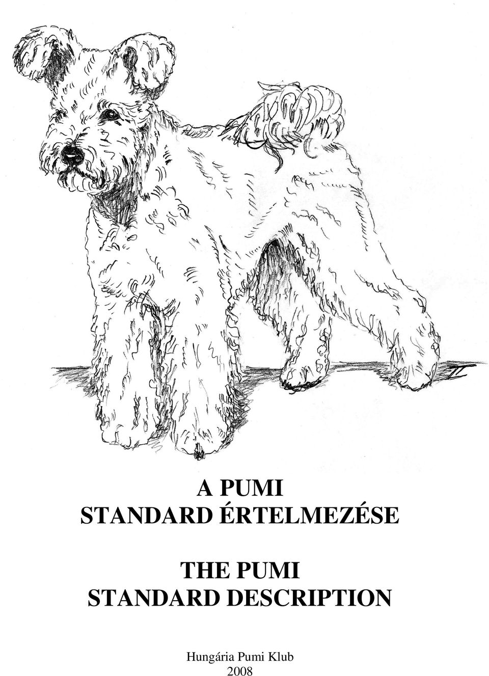 THE PUMI STANDARD DESCRIPTION - PDF Free Download