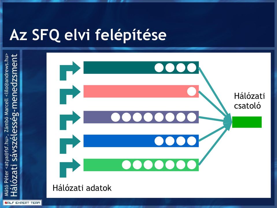 Hálózati