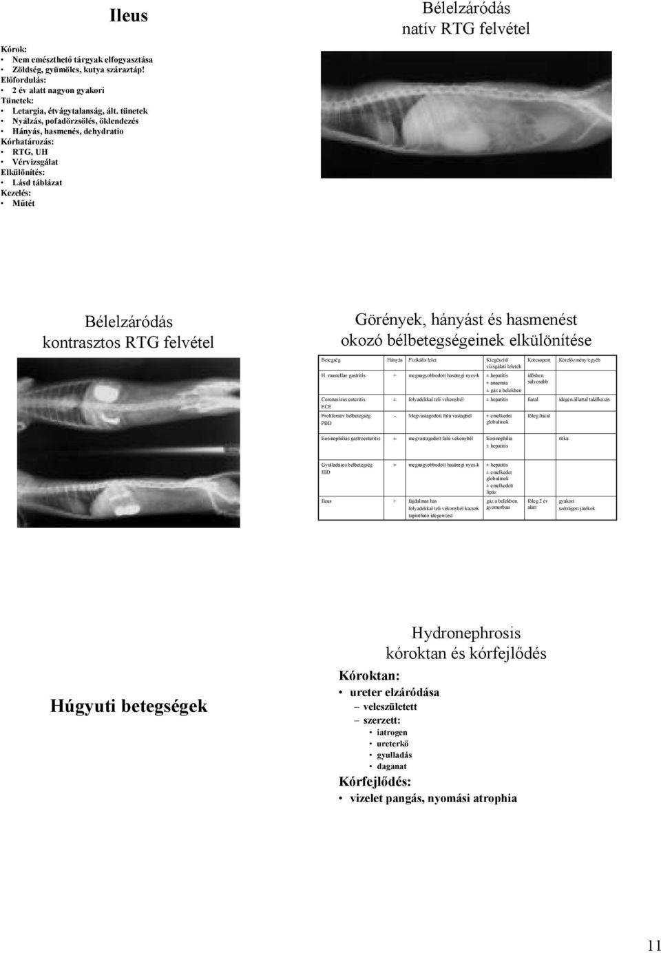 kontrasztos RTG felvétel Görények, hányást és hasmenést okozó bélbetegségeinek elkülönítése Betegség Hányás Fizikális lelet Kiegészítı vizsgálati leletek Korcsoport Kórelızmény/egyéb H.