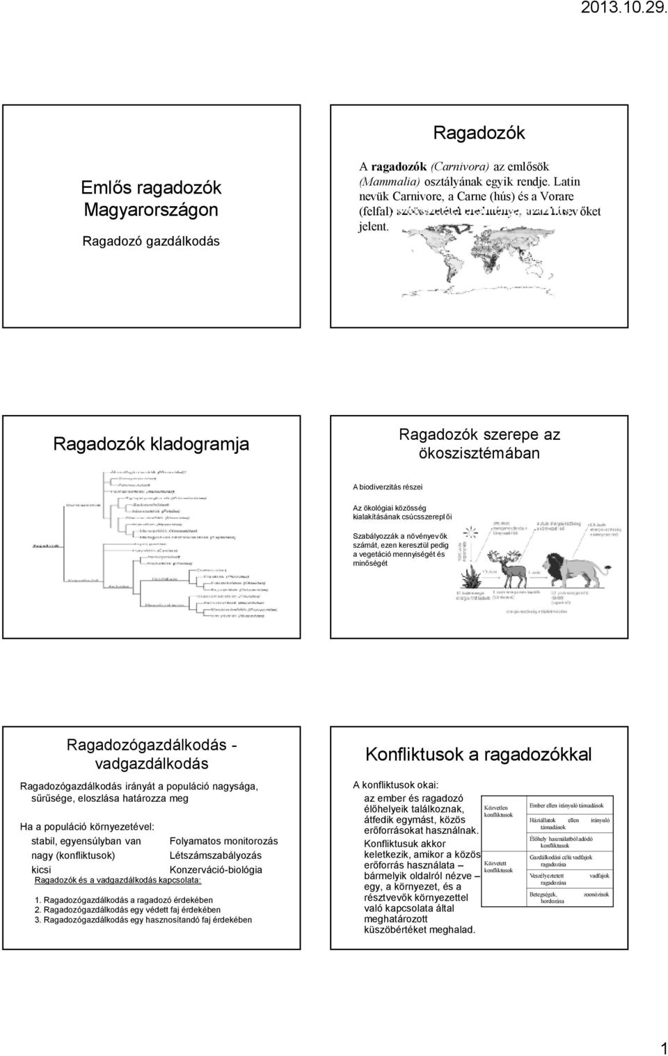 Ragadozók kladogramja Ragadozók szerepe az ökoszisztémában A biodiverzitás részei Az ökológiai közösség kialakításának csúcsszereplői Szabályozzák a növényevők számát, ezen keresztül pedig a