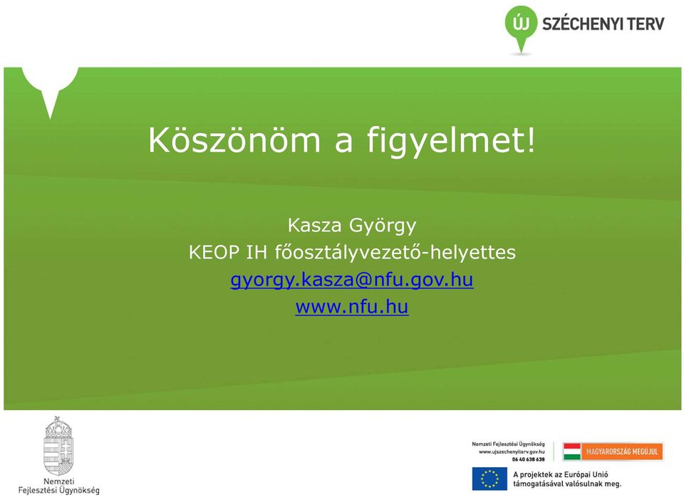 főosztályvezető-helyettes