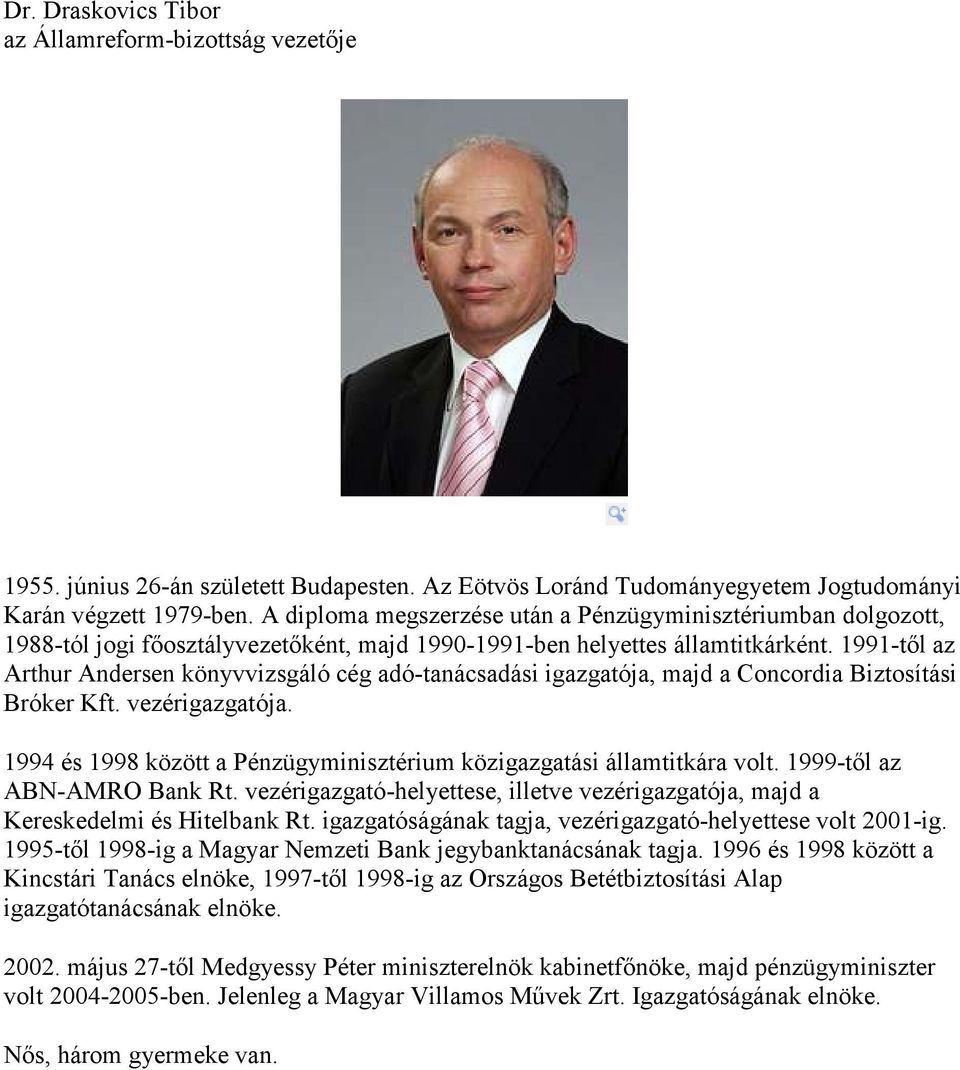 1991-től az Arthur Andersen könyvvizsgáló cég adó-tanácsadási igazgatója, majd a Concordia Biztosítási Bróker Kft. vezérigazgatója.