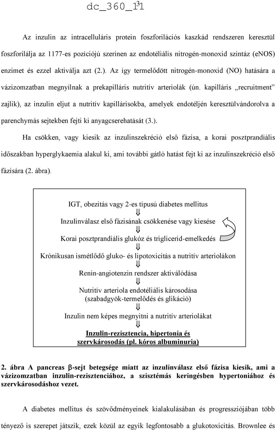 kapilláris recruitment zajlik),