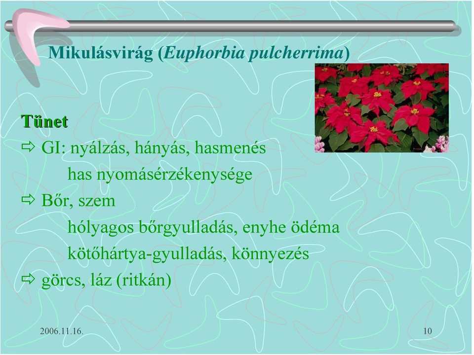 Bőr, szem hólyagos bőrgyulladás, enyhe ödéma