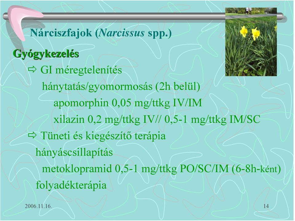 apomorphin 0,05 mg/ttkg IV/IM xilazin 0,2 mg/ttkg IV// 0,5-1 mg/ttkg