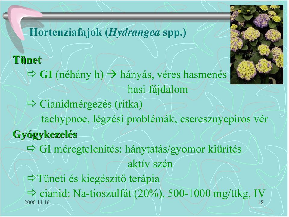 (ritka) tachypnoe, légzési problémák, cseresznyepiros vér Gyógykezelés GI