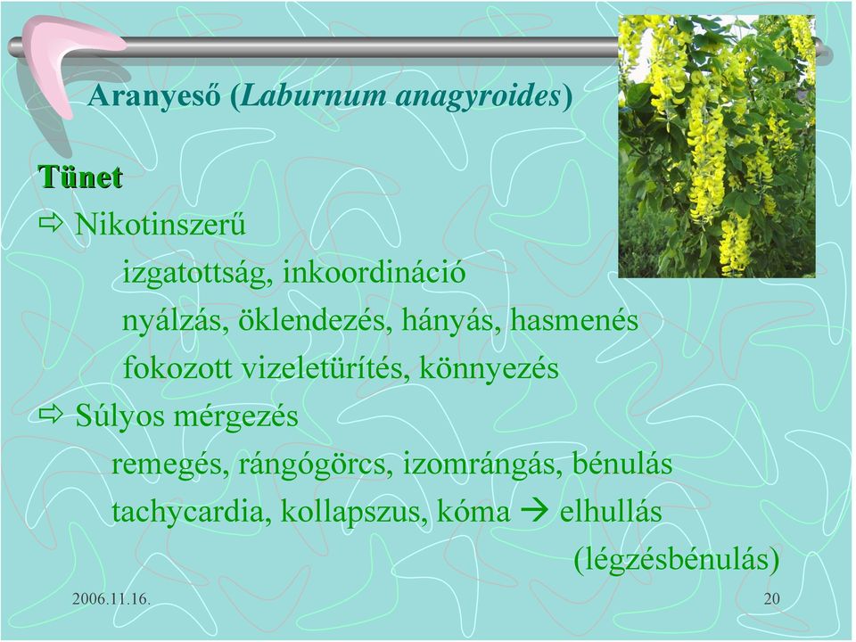 vizeletürítés, könnyezés Súlyos mérgezés remegés, rángógörcs,