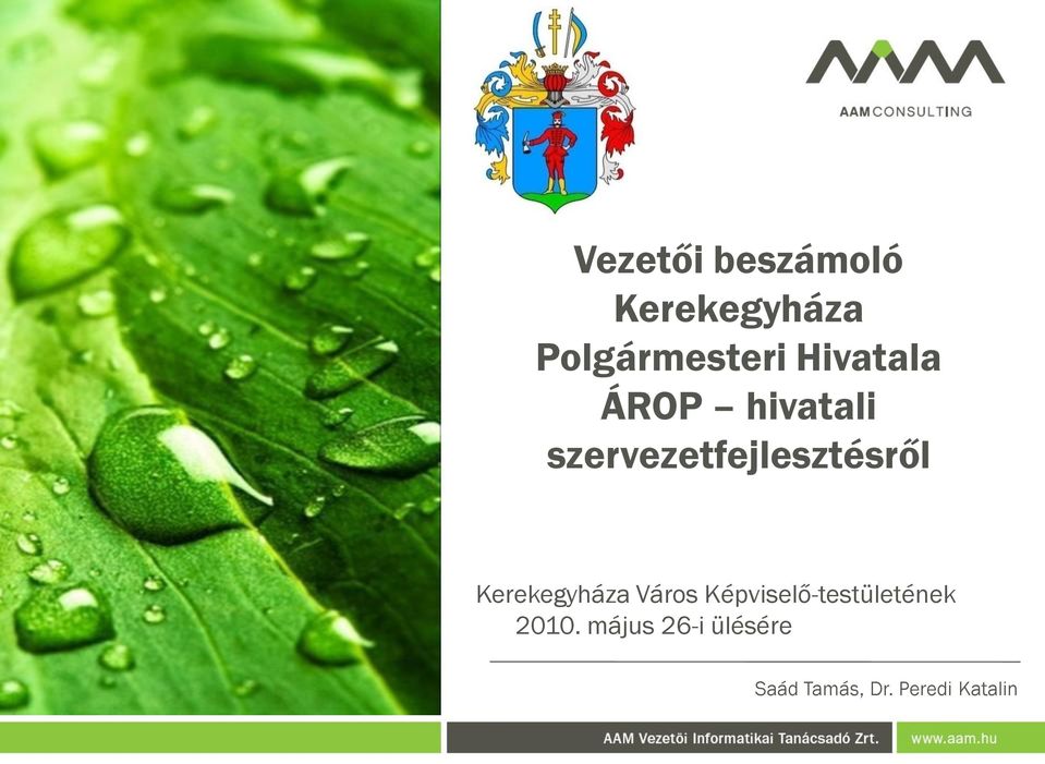 Kerekegyháza Város Képviselő-testületének 2010.
