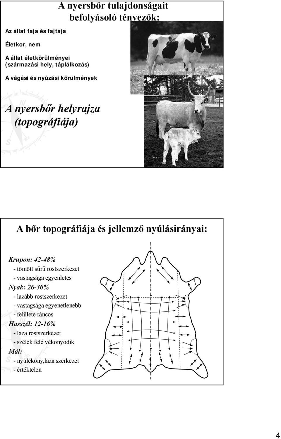 nyúlásirányai: Krupon: 42-48% - tömött sűrű rostszerkezet - vastagsága egyenletes Nyak: 26-30% - lazább rostszerkezet -