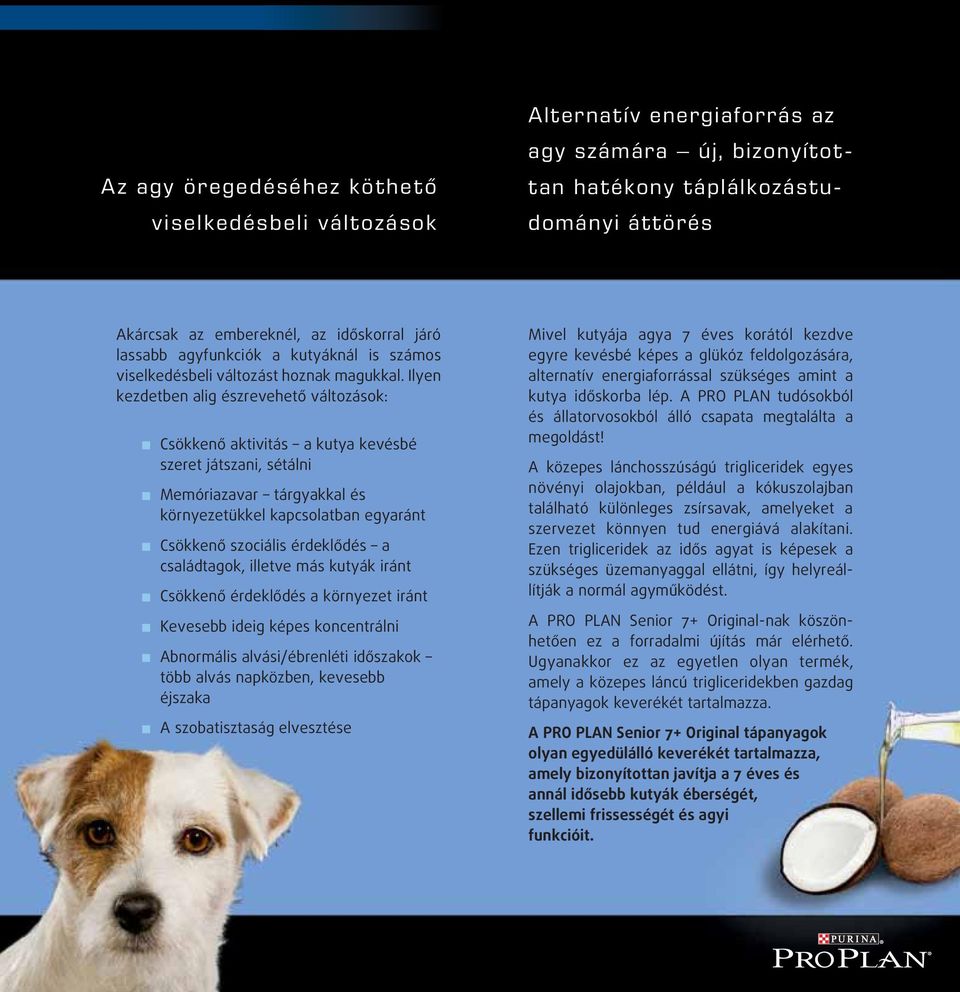 Ilyen kezdetben alig észrevehető változások: Csökkenő aktivitás a kutya kevésbé szeret játszani, sétálni Memóriazavar tárgyakkal és környezetükkel kapcsolatban egyaránt Csökkenő szociális érdeklődés