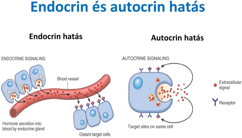 hatás