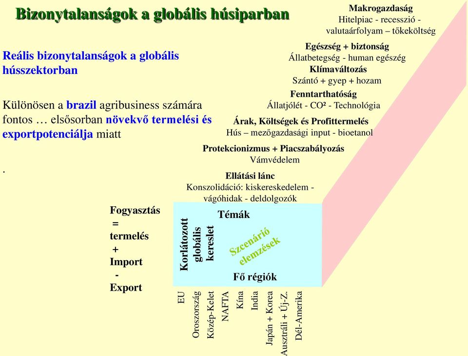 Fogyasztás = termelés + Import - Export Korlátozott globális kereslet EU Oroszország Közép-Kelet NAFTA Árak, Költségek és Profittermelés Hús mezőgazdasági input - bioetanol Ellátási lánc