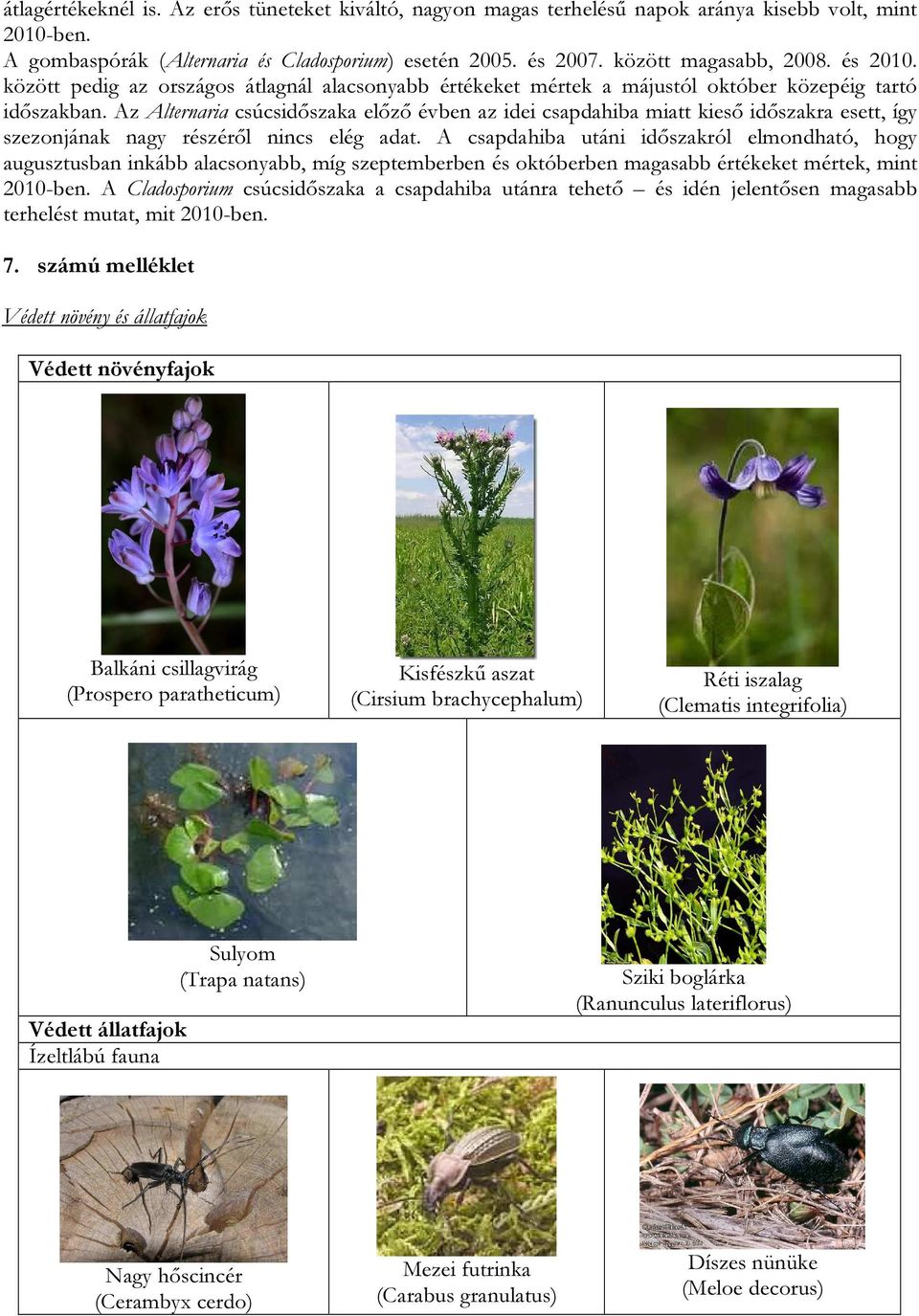 Az Alternaria csúcsidőszaka előző évben az idei csapdahiba miatt kieső időszakra esett, így szezonjának nagy részéről nincs elég adat.