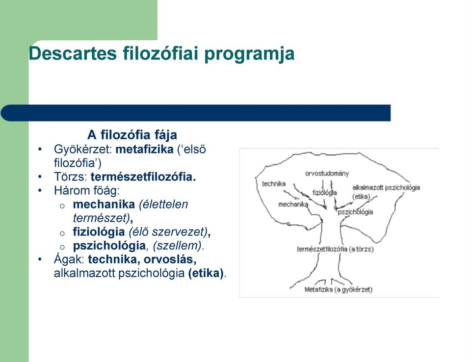 Három főág: o mechanika (élettelen természet), o fiziológia (élő