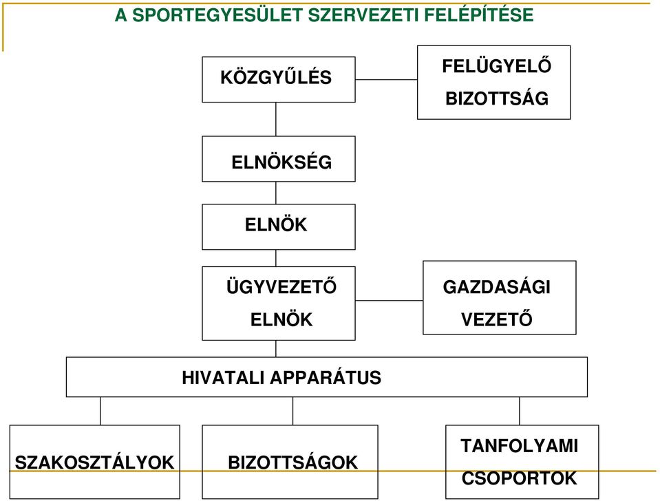 ÜGYVEZETŐ ELNÖK GAZDASÁGI VEZETŐ HIVATALI