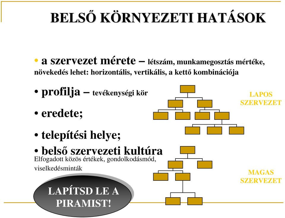 tevékenységi kör eredete; telepítési helye; belső szervezeti kultúra Elfogadott