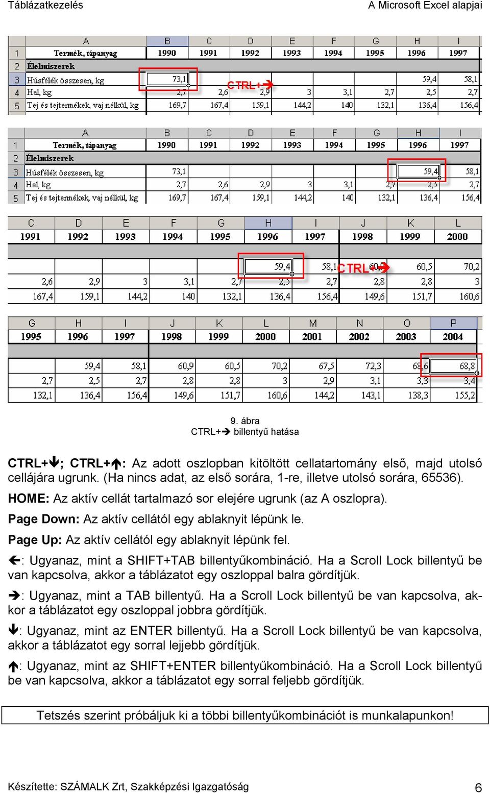 : Ugyanaz, mint a SHIFT+TAB billentyűkombináció. Ha a Scroll Lock billentyű be van kapcsolva, akkor a táblázatot egy oszloppal balra gördítjük. : Ugyanaz, mint a TAB billentyű.