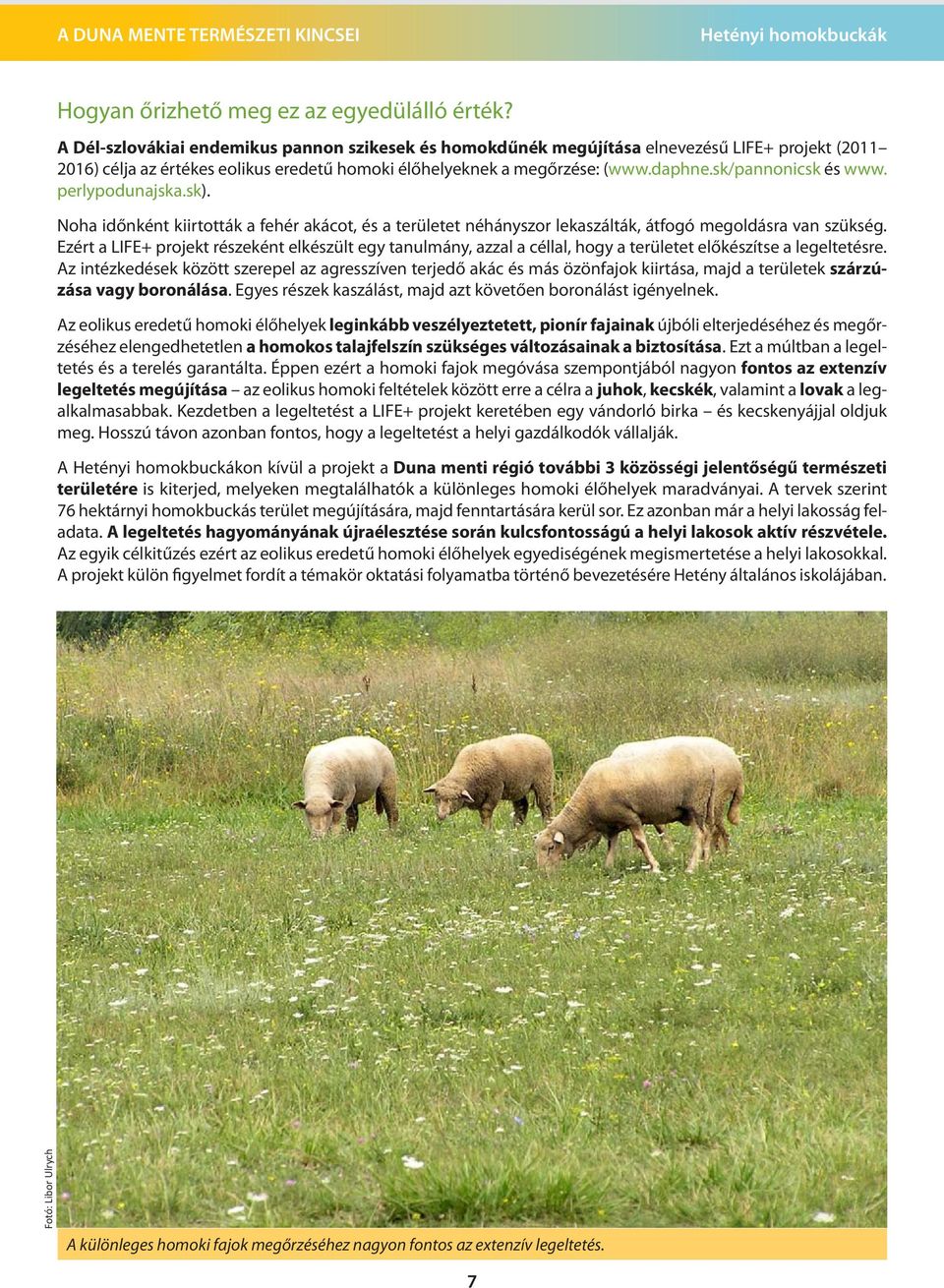 sk/pannonicsk és www. perlypodunajska.sk). Noha időnként kiirtották a fehér akácot, és a területet néhányszor lekaszálták, átfogó megoldásra van szükség.