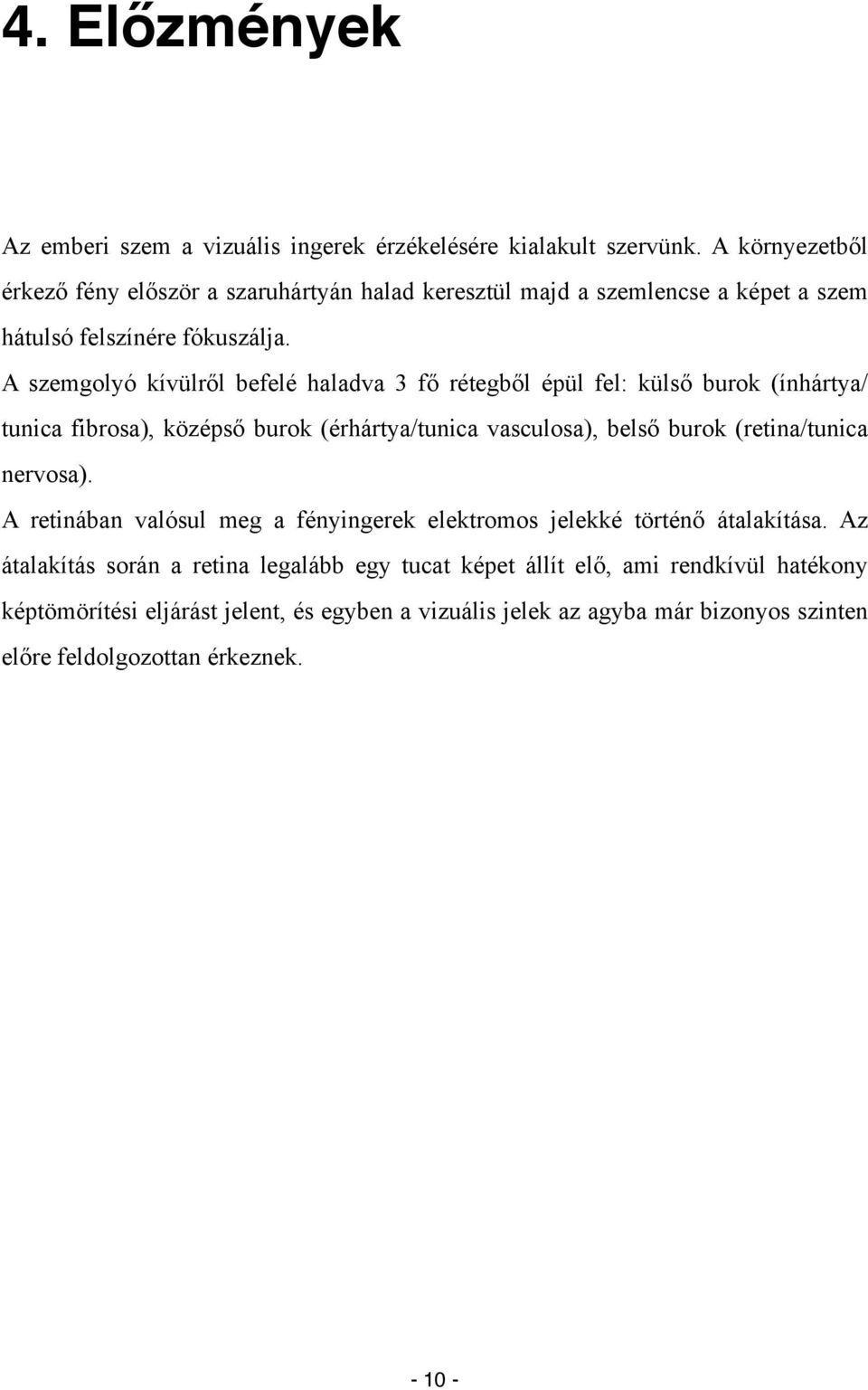 A szemgolyó kívülről befelé haladva 3 fő rétegből épül fel: külső burok (ínhártya/ tunica fibrosa), középső burok (érhártya/tunica vasculosa), belső burok (retina/tunica