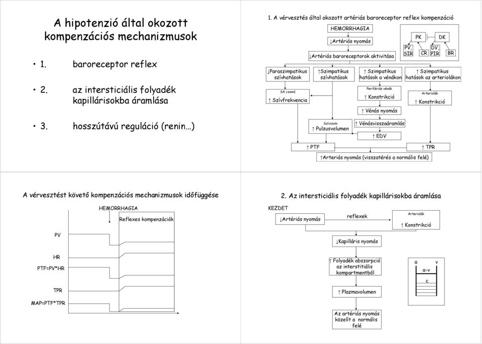 szívhatások Szimpatikus hatások a vénákon Perifériás vénák Konstrikció Vénás nyomás PV, SIR PK CR DV, PIR Szimpatikus hatások az arteriolákon Arteriolák DK Konstrikció BR 3.