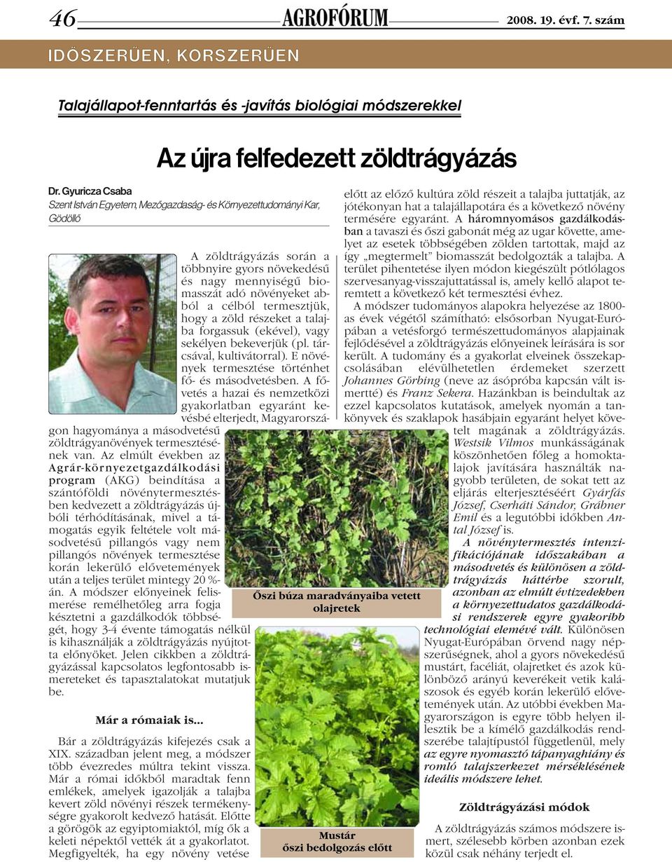 termesztjük, hogy a zöld részeket a talajba forgassuk (ekével), vagy sekélyen bekeverjük (pl. tárcsával, kultivátorral). E növények termesztése történhet fő- és másodvetésben.