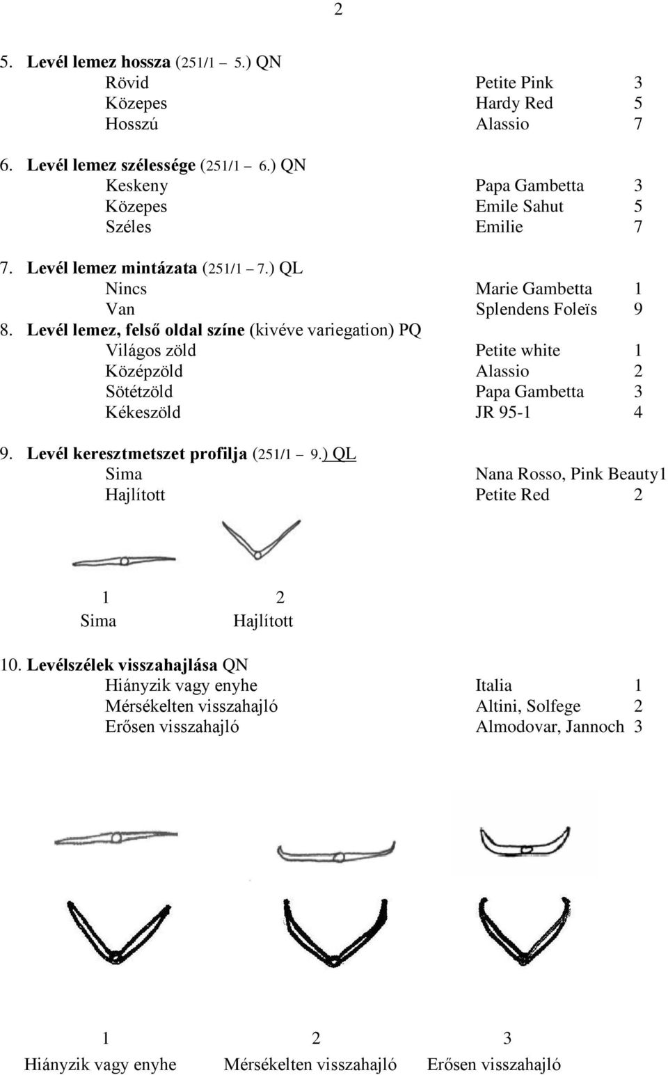 Levél lemez, felső oldal színe (kivéve variegation) PQ Világos zöld Petite white 1 Középzöld Alassio 2 Sötétzöld Papa Gambetta 3 Kékeszöld JR 95-1 4 9. Levél keresztmetszet profilja (251/1 9.