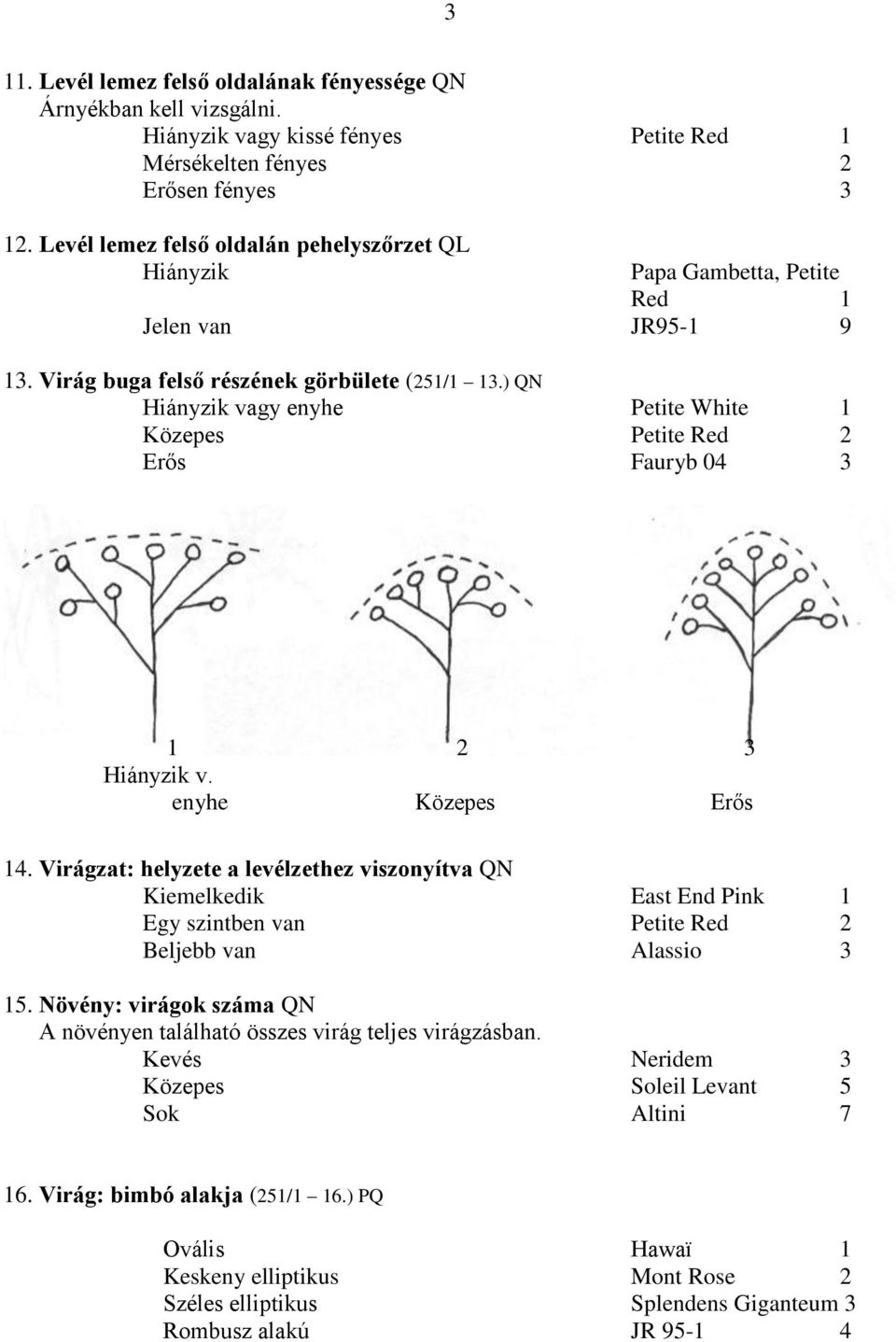 ) QN Hiányzik vagy enyhe Petite White 1 Közepes Petite Red 2 Erős Fauryb 04 3 1 2 3 Hiányzik v. enyhe Közepes Erős 14.