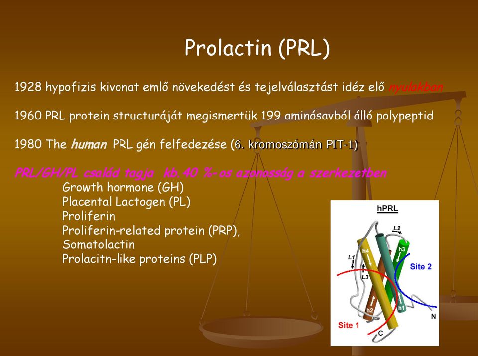 kromoszómán PIT-1) PRL/GH/PL család tagja kb.