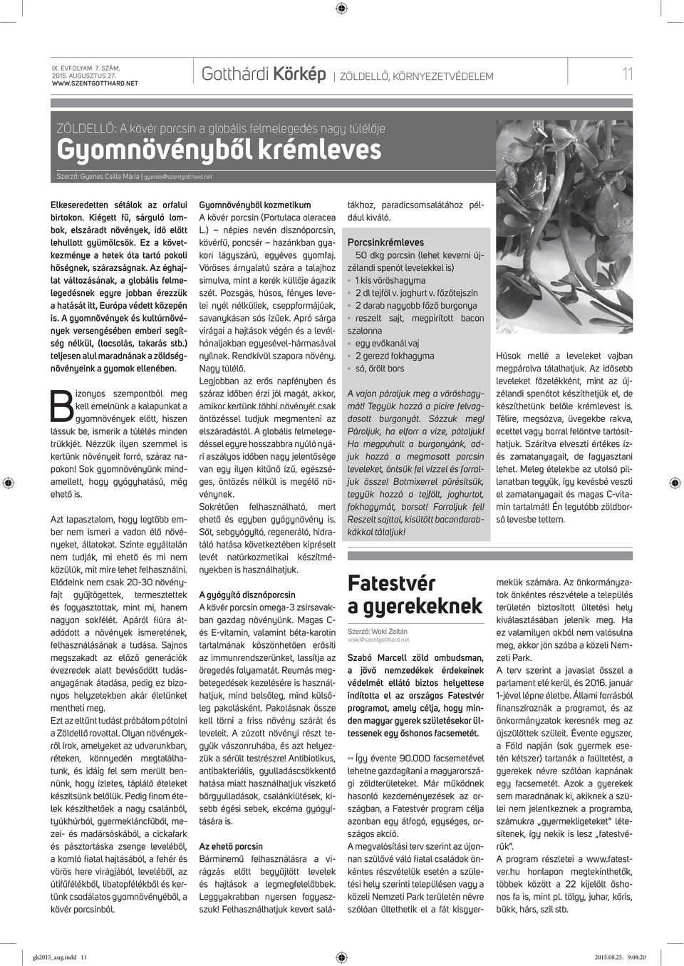 nt Elksrdttn sétálok az orfalui birtokon. Kiégtt fű, sárguló lombok, lszáradt növényk, idő lőtt lhullott gyümölcsök. Ez a kövtkzmény a htk óta tartó pokoli hőségnk, szárazságnak.
