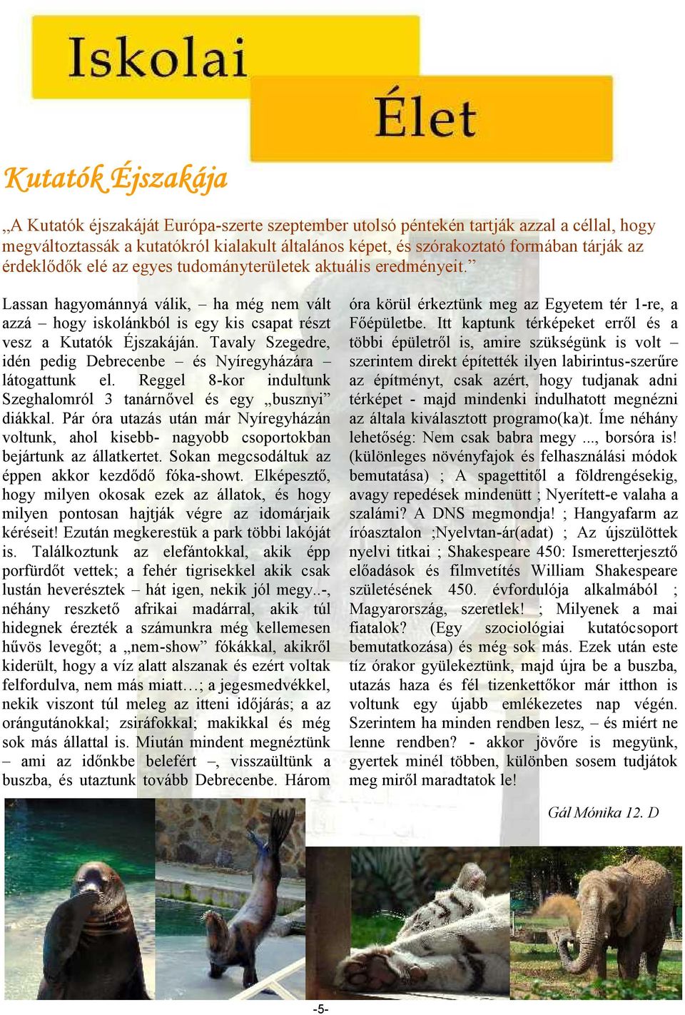 Tavaly Szegedre, idén pedig Debrecenbe és Nyíregyházára látogattunk el. Reggel 8-kor indultunk Szeghalomról 3 tanárnővel és egy busznyi diákkal.