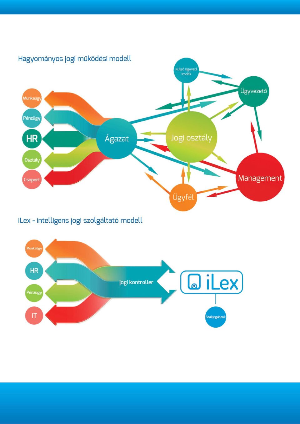 ilex - intelligens