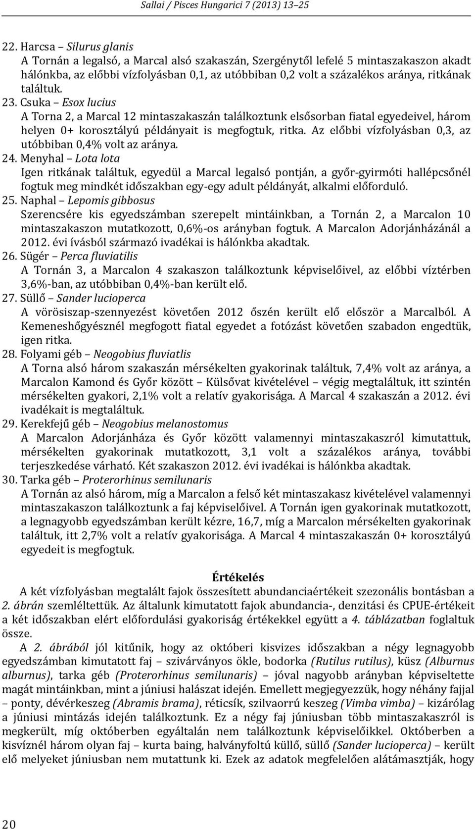 találtuk. 23. Csuka Esox lucius A Torna 2, a Marcal 12 mintaszakaszán találkoztunk elsősorban fiatal egyedeivel, három helyen 0+ korosztályú példányait is megfogtuk, ritka.