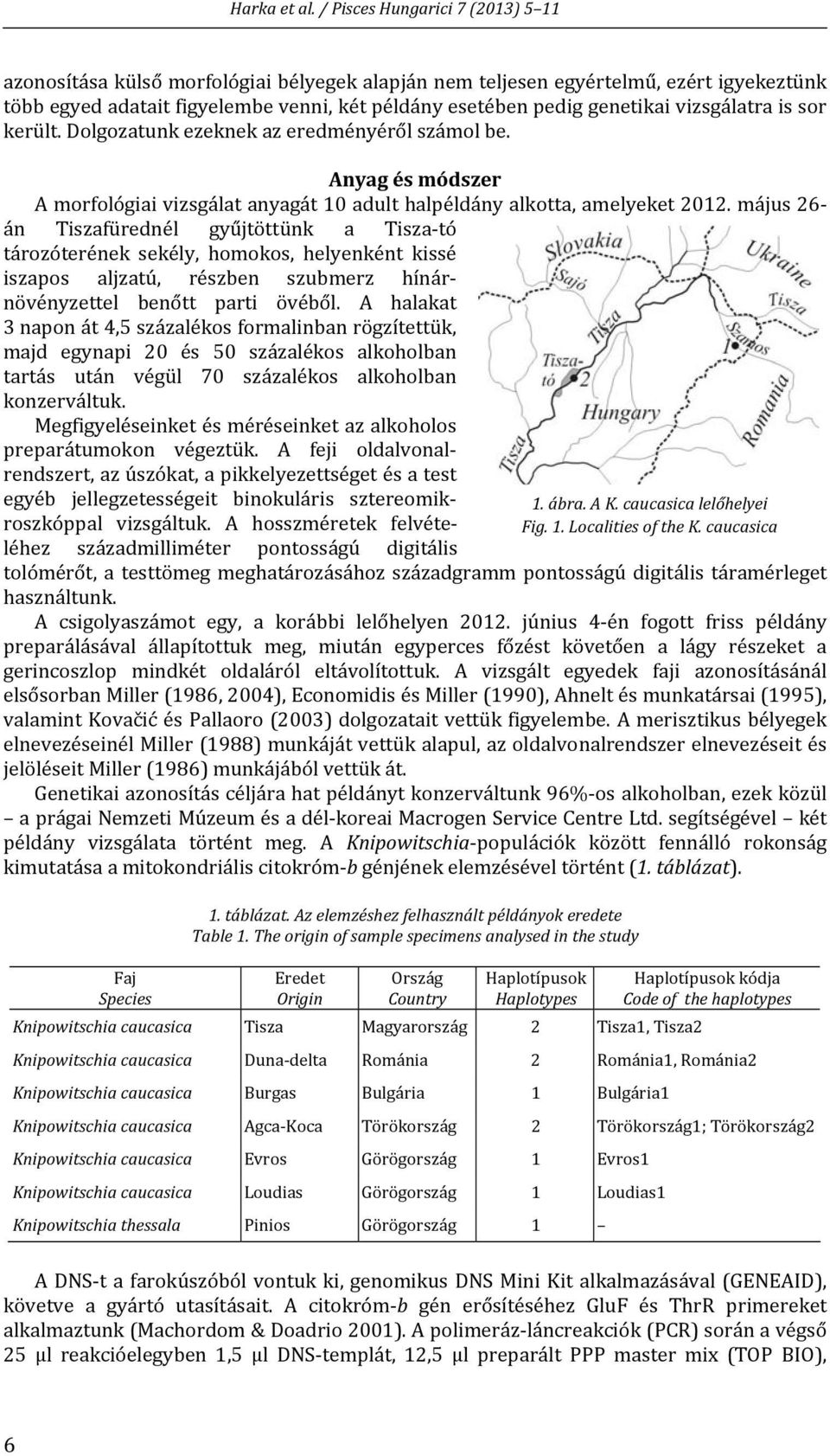vizsgálatra is sor került. Dolgozatunk ezeknek az eredményéről számol be. Anyag és módszer A morfológiai vizsgálat anyagát 10 adult halpéldány alkotta, amelyeket 2012.