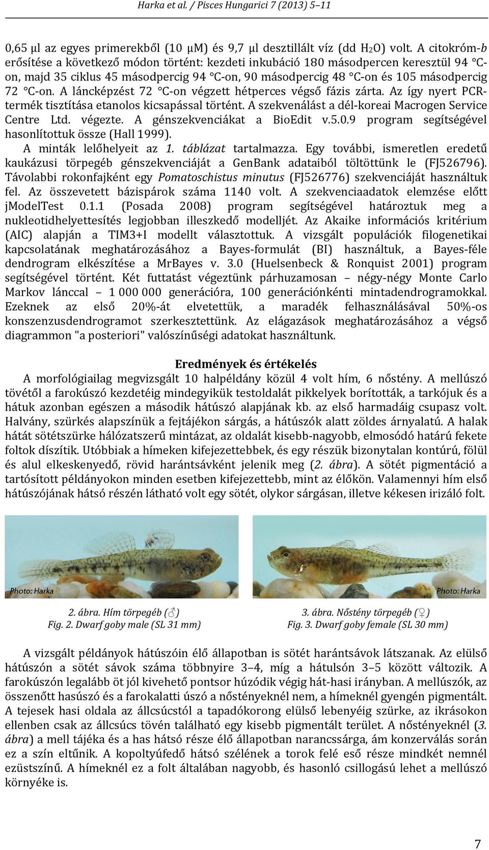 A láncképzést 72 C on végzett hétperces végső fázis zárta. Az így nyert PCRtermék tisztítása etanolos kicsapással történt. A szekvenálást a dél koreai Macrogen Service Centre Ltd. végezte.