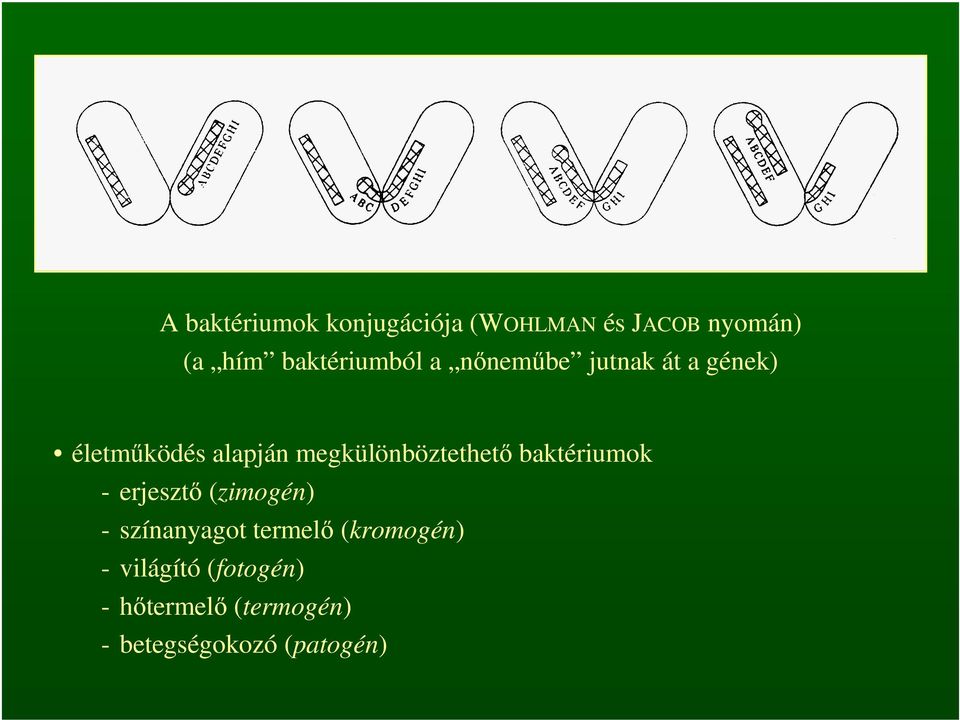 megkülönböztethető baktériumok - erjesztő (zimogén) - színanyagot