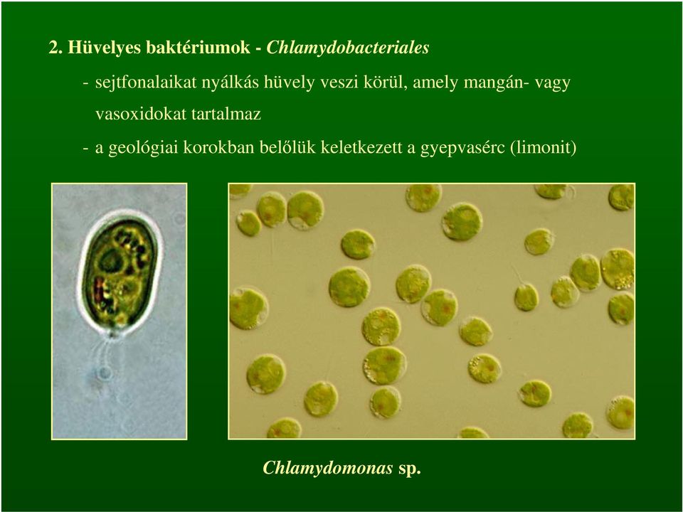 mangán- vagy vasoxidokat tartalmaz - a geológiai
