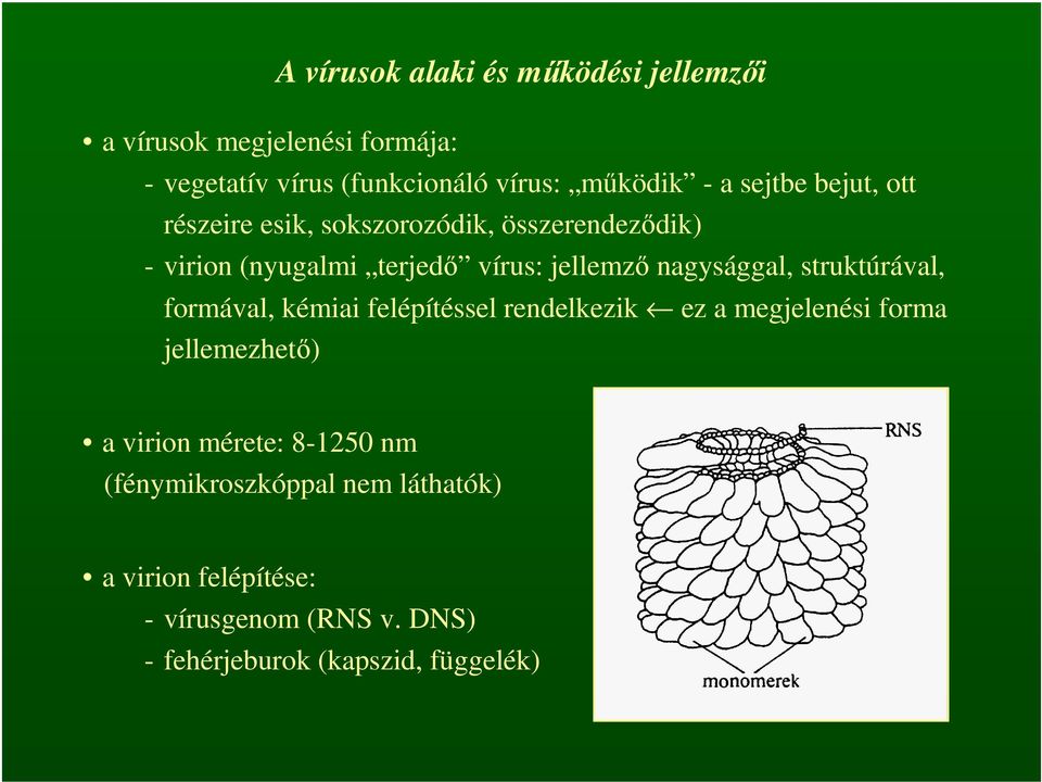 nagysággal, struktúrával, formával, kémiai felépítéssel rendelkezik ez a megjelenési forma jellemezhető) a virion