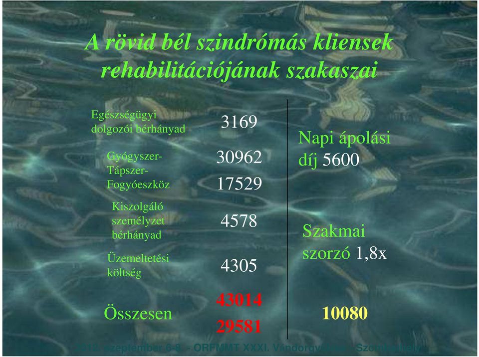 30962 17529 4578 Üzemeltetési költség 4305 Napi