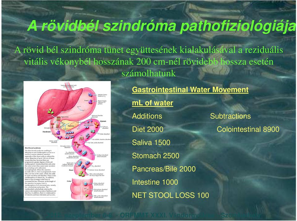 számolhatunk Gastrointestinal Water Movement ml of water Additions Subtractions Diet 2000